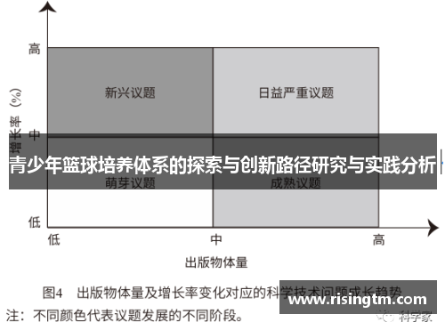 青少年篮球培养体系的探索与创新路径研究与实践分析