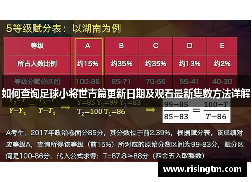 如何查询足球小将世青篇更新日期及观看最新集数方法详解